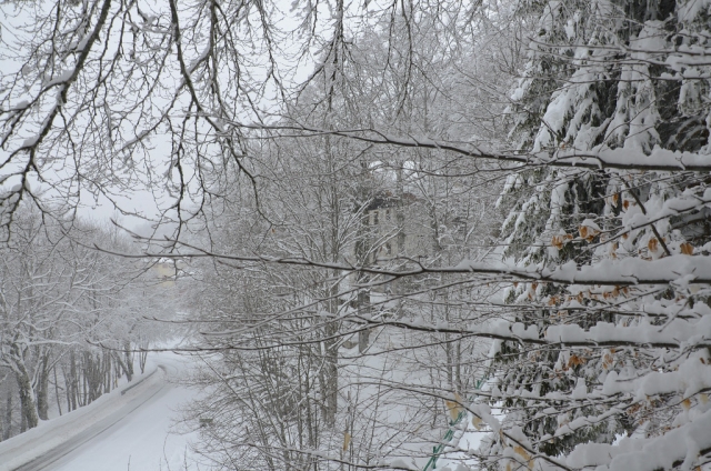 Colori del terminillo